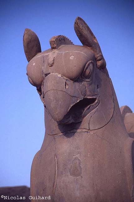 persepolis.jpg